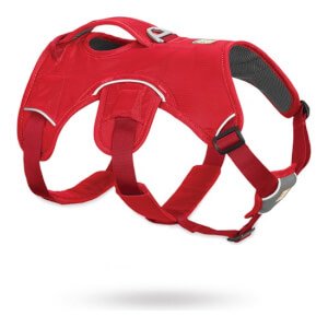 Ruffwear Web Master