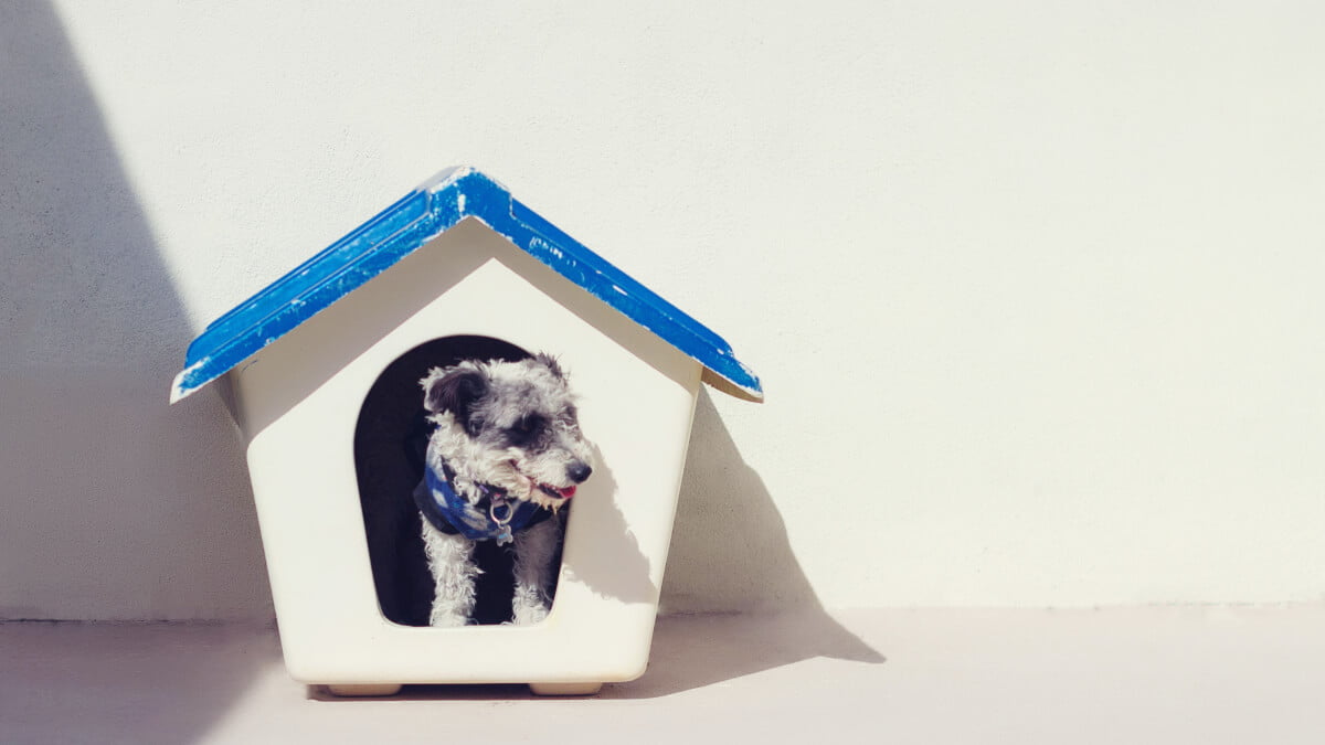 Bästa isolerade hundkojan