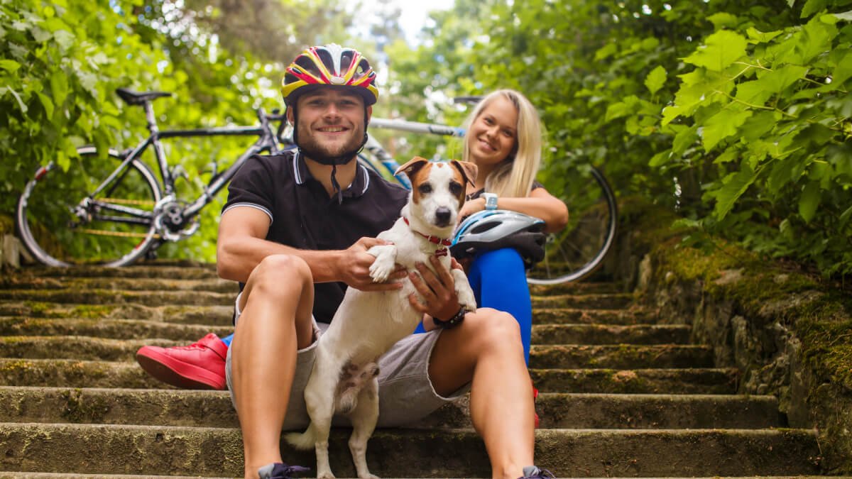 Bästa cykelvagn till hunden