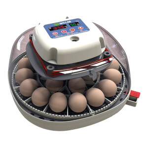 Äggkläckningsmaskin - Äggkläckare Willab med inbyggd ägglampa